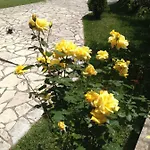 Dimitra Apartament Nydri (Lefkada)